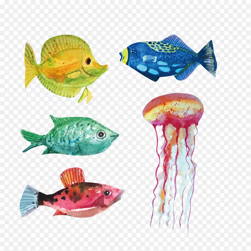 ʸ��ˮ����-������