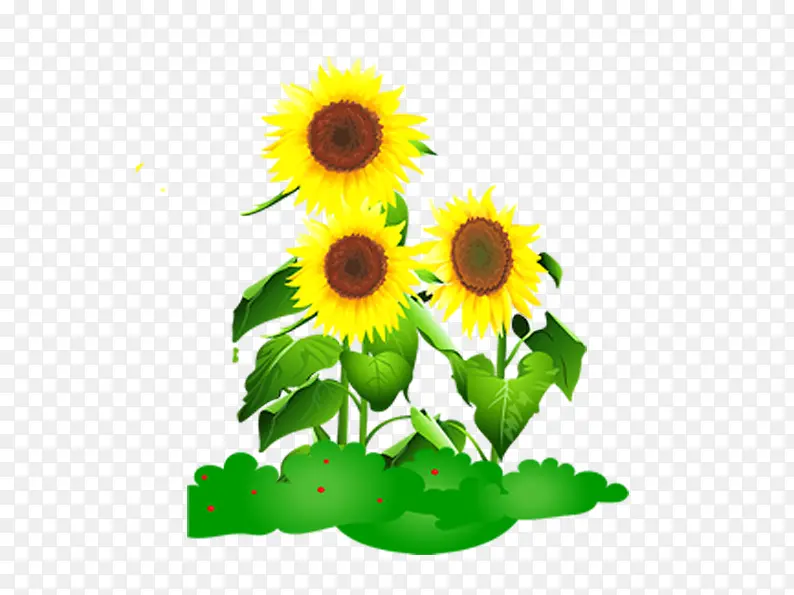 ��ͨ���տ���-������