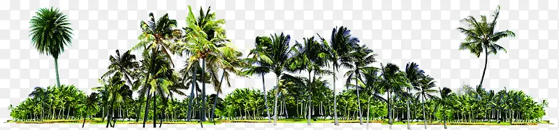 �ȴ�����Ҭ�����-������