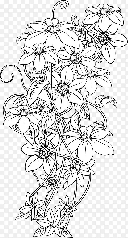 ���軨��ʱ��װ��ͼ��-������