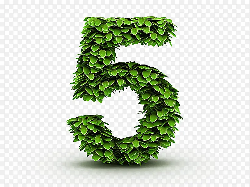 ����5-������