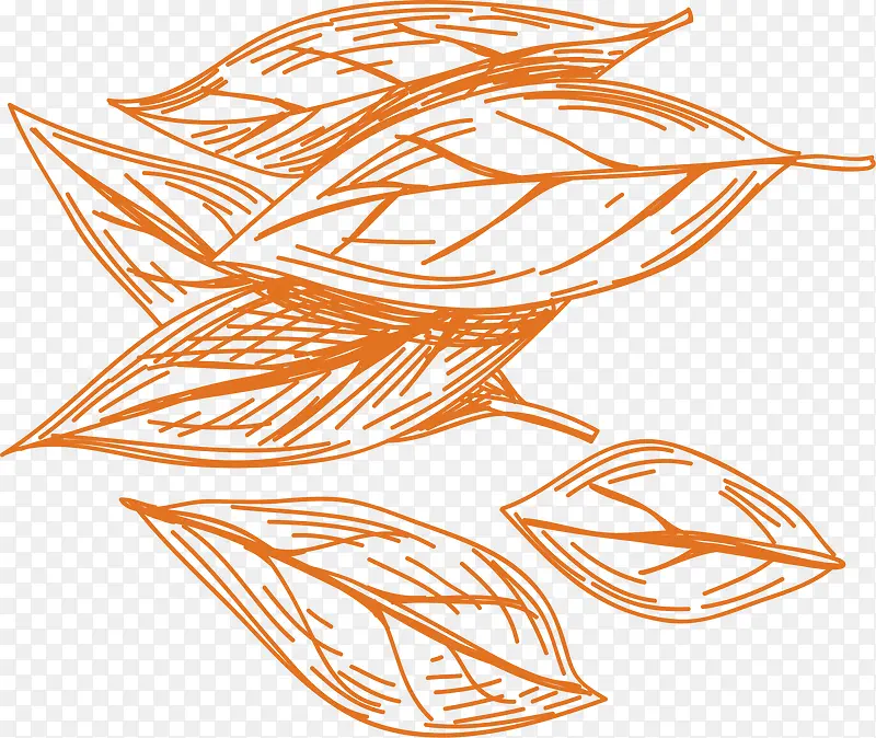 ��Ҷ��ζʳ������-������