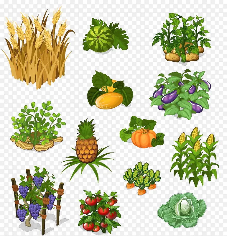 ��ͨ�߲���ʳ-������