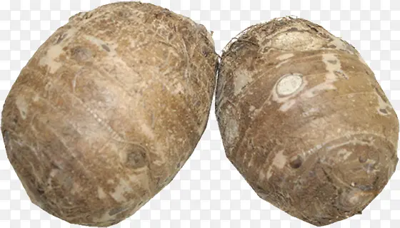 ��ͷ-������