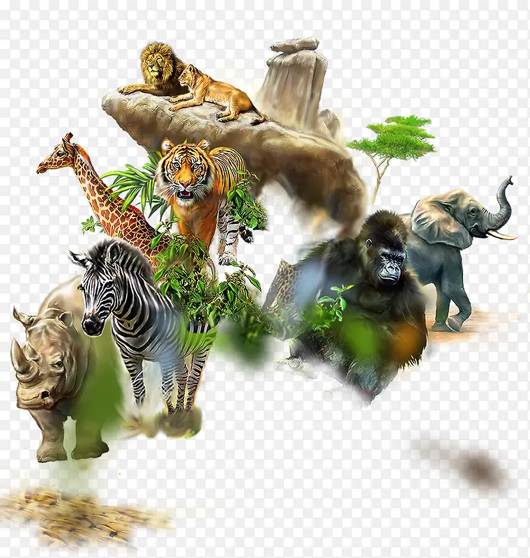 �廭����-������