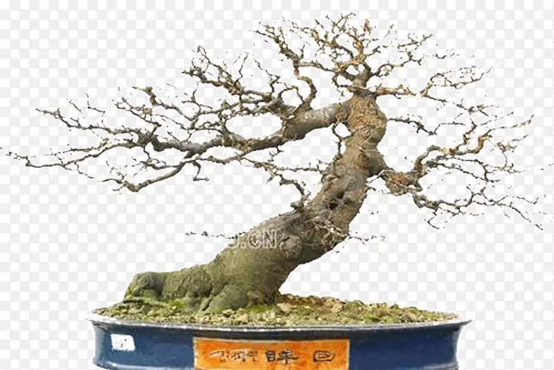 ����-������