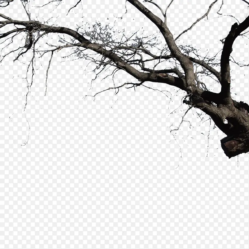 �Ϲ���ͼ-������