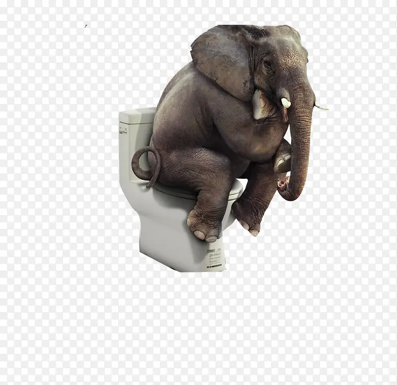 ������Ͱ-������