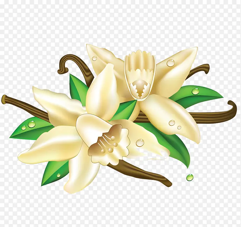 ��ɫ����-������