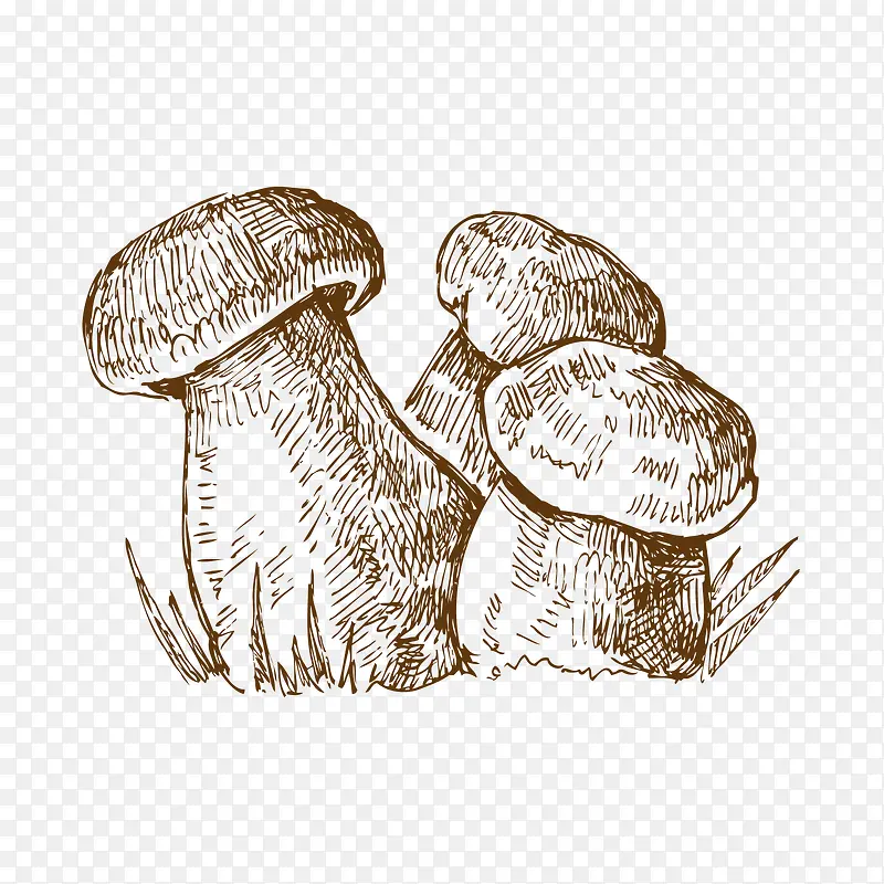 �ֻ�-������