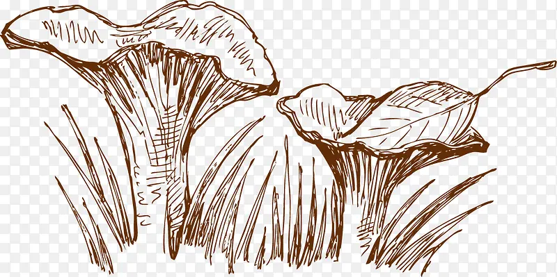 �ֻ�-������