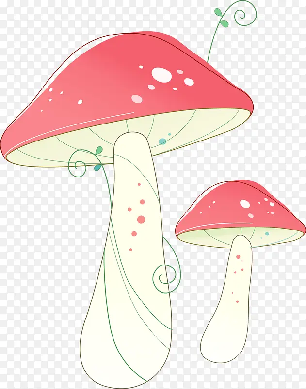 ��ͨĢ��-������