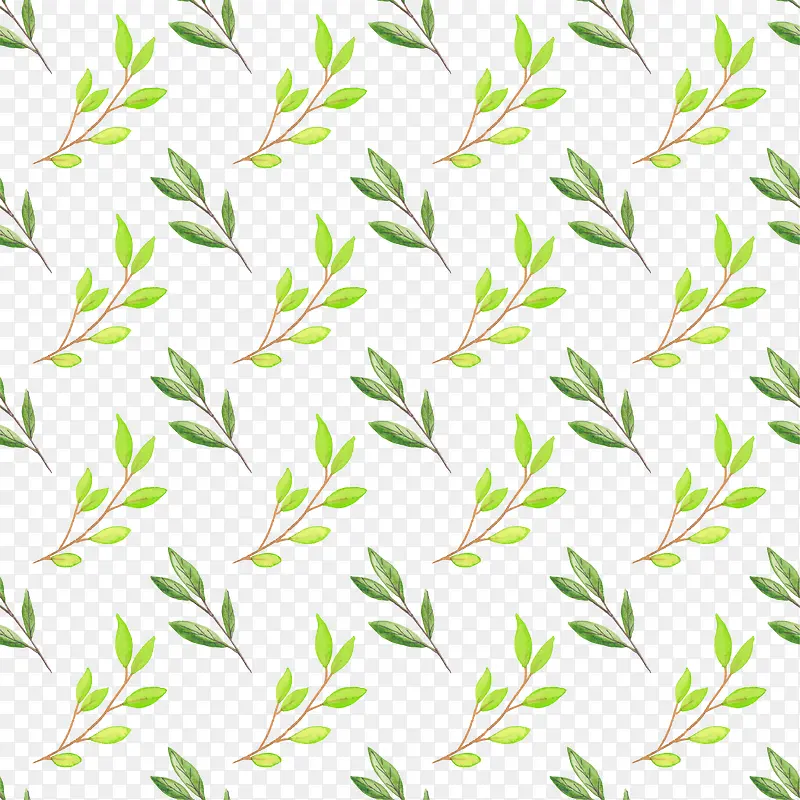 ˮ����Ҷ����-������