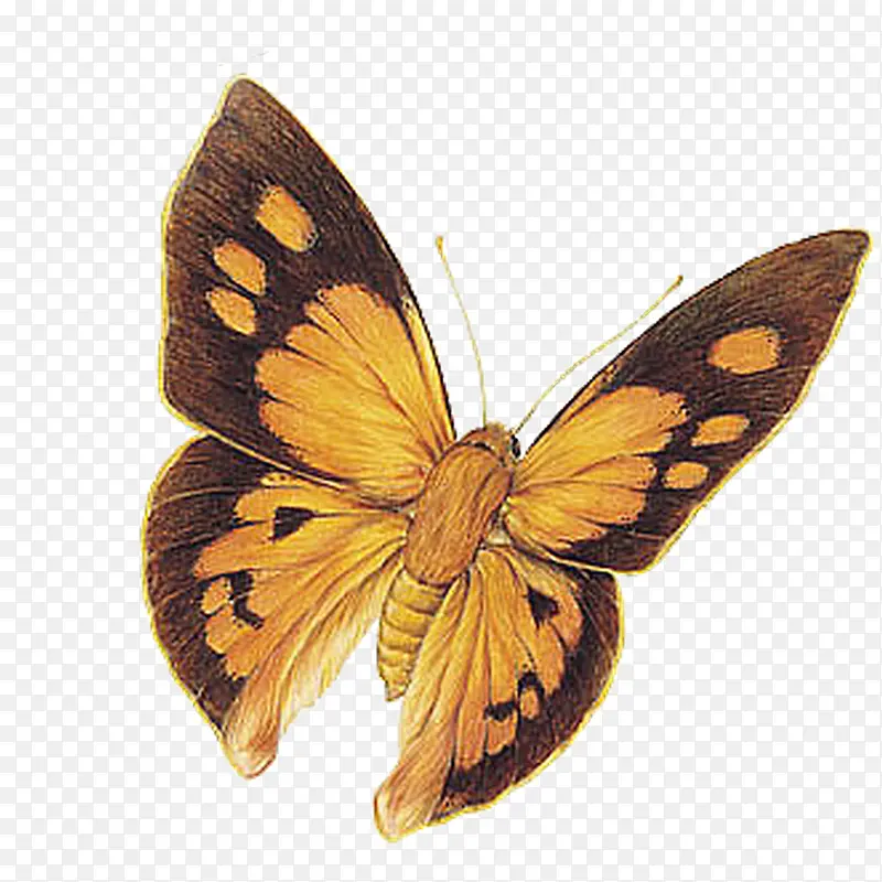 �ͻ���ɫ����-������