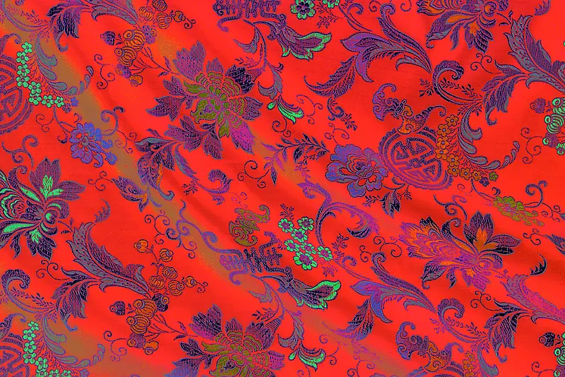 ���Ʊ���������ϱ���-������