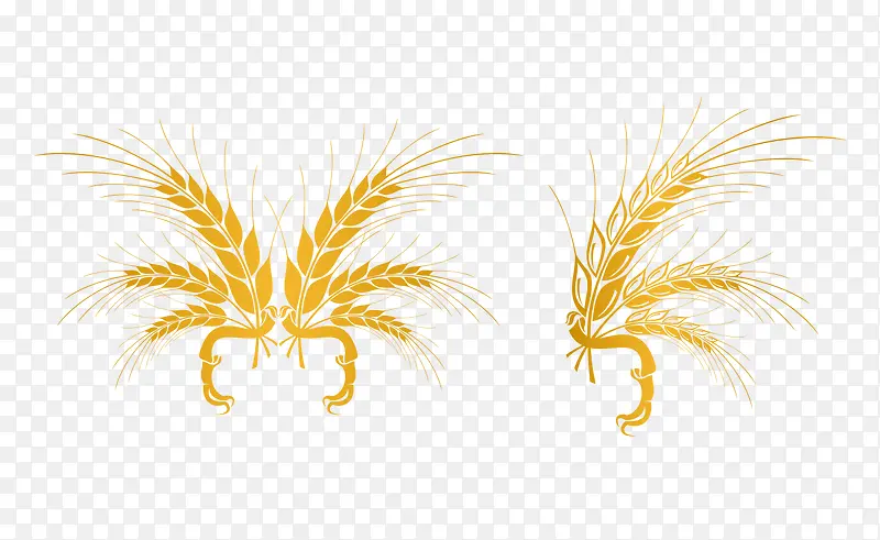 ��ɫ����pngʸ��-������