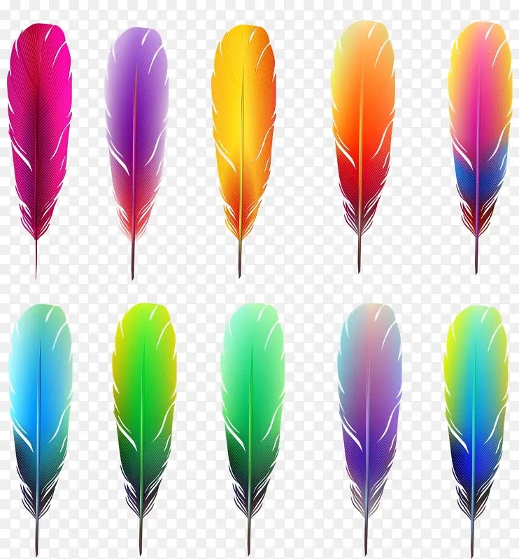 ��ɫ����ë-������