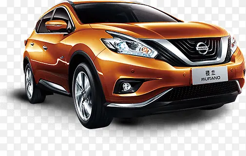 ¥����ɫ����-������