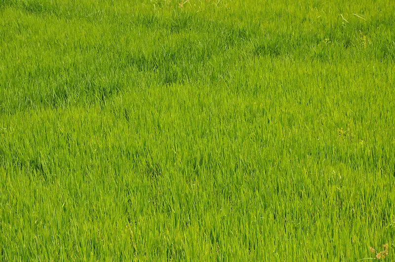 Ұ����̲�-������