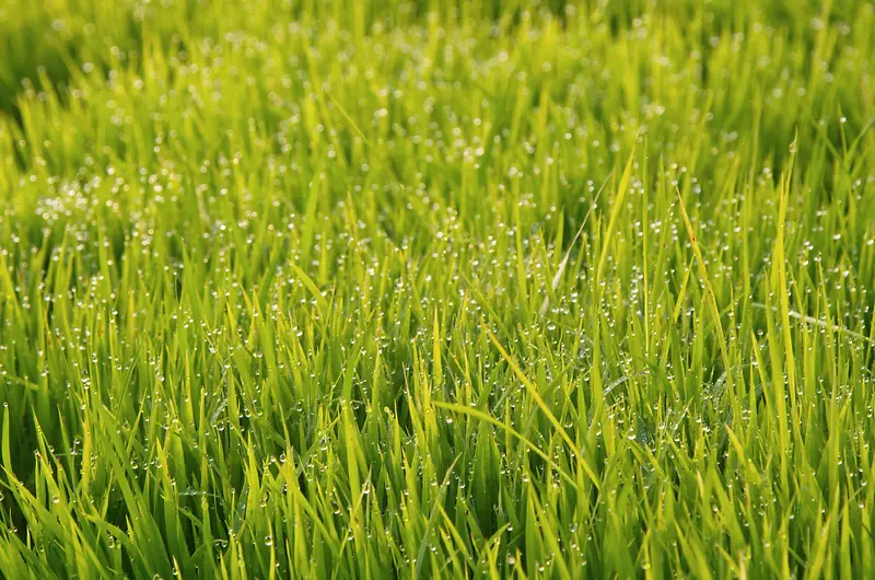 Ұ����̲�-������