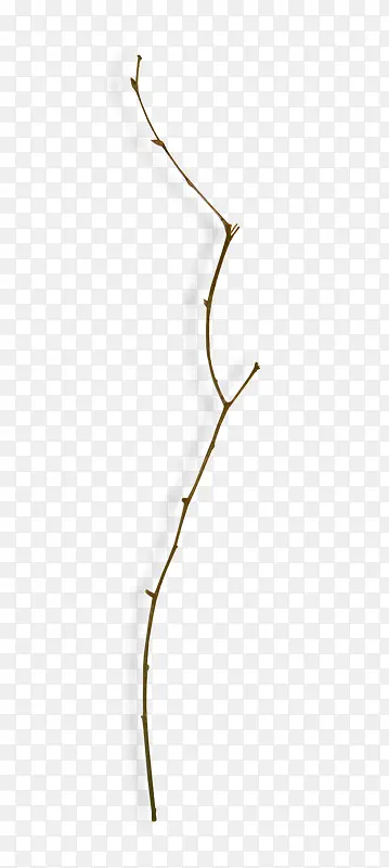 ֦��װ���ز�-������