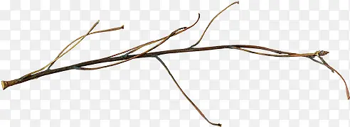 ϸ֦Ҷ-������