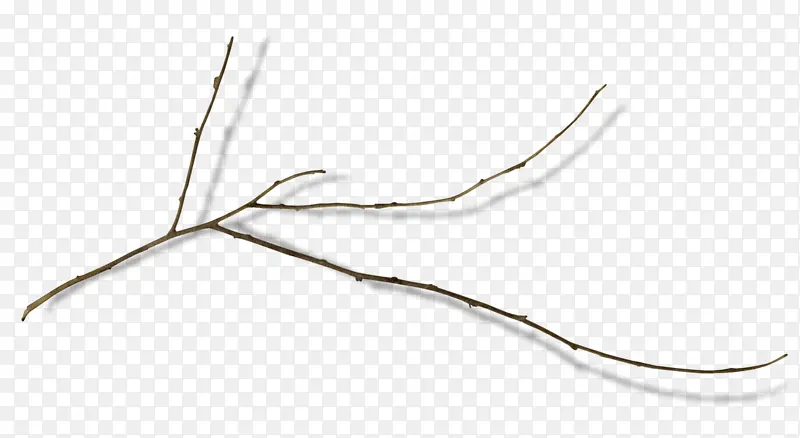 ֦Ҷ-������