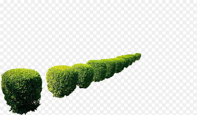 ·���̻���ֲ����-������