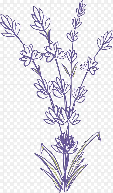 ��ɫ��ɫ����޹�²�-������