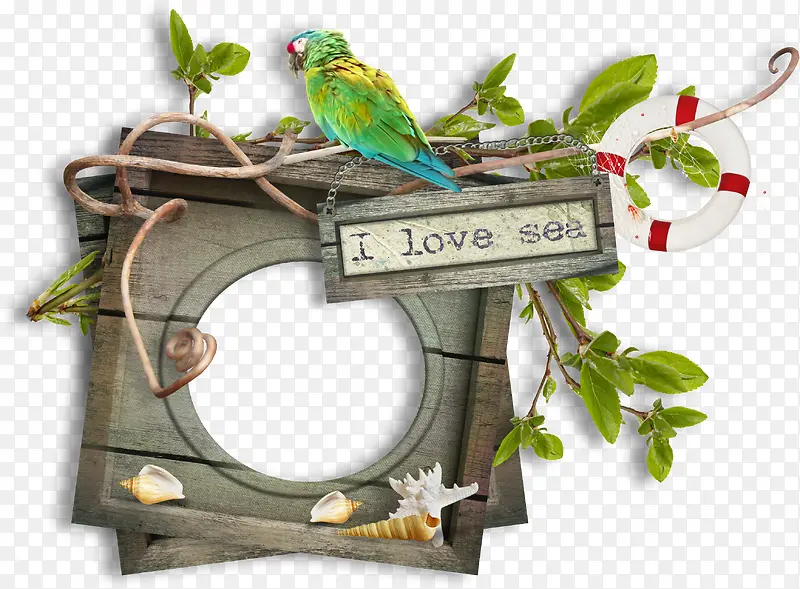 �Ұ���ľ��Բ��-������