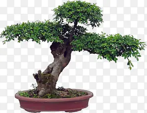 ��-������