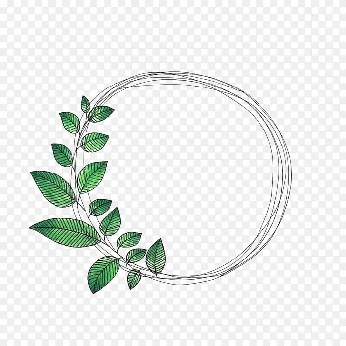 Ҷ�Ӻ���Ȧ-������