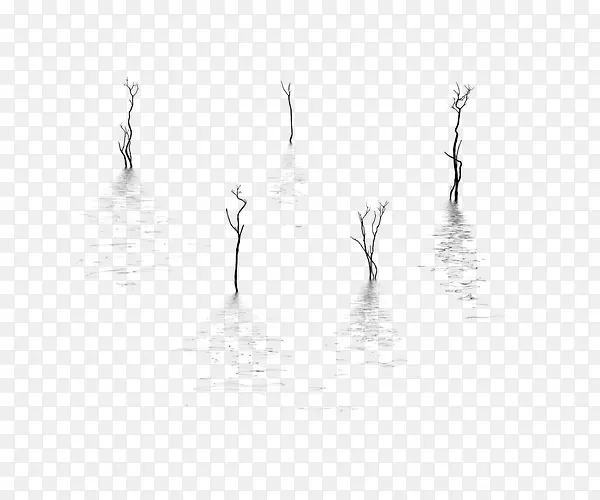 ˮ����֦�������-������