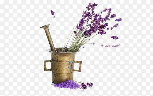 ��ɫ޹�²�-������