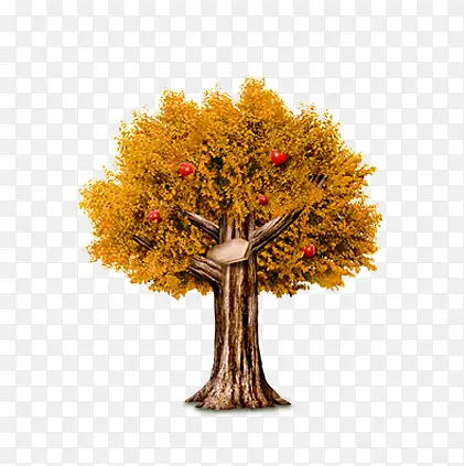 ��ͨ��ɫ��-������