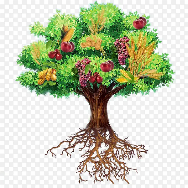 ��ͨˮ����-������