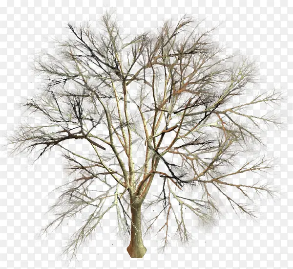 ����-������