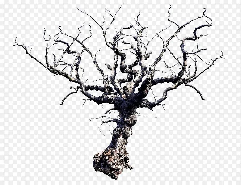 ����1-������