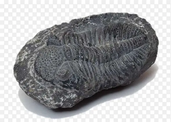 ��ɫʯ��-������