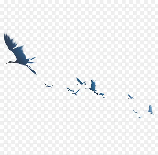 ��Ⱥ-������