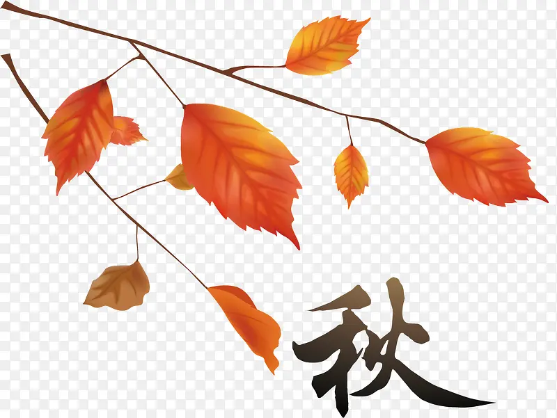 �＾������Ҷ�����ز�-������