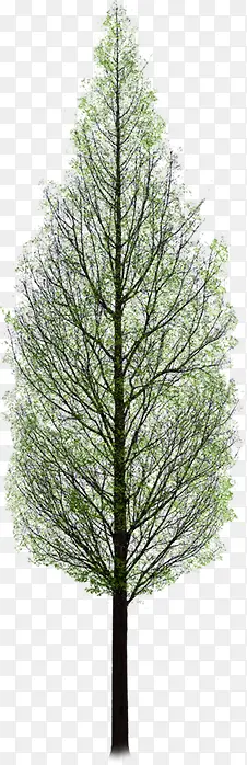 ���崴��������Ӱ�ϳ�Ч��-������