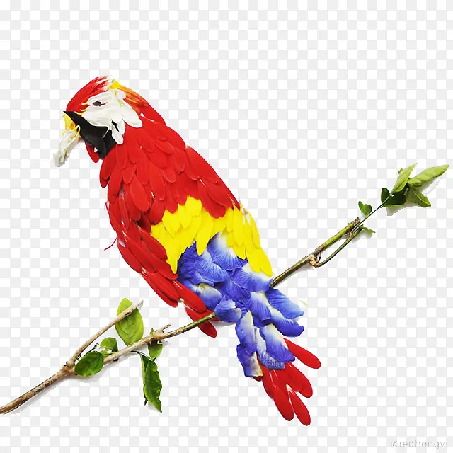 ��ɫ����ͼ��-������