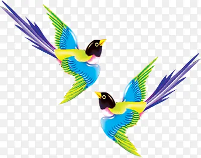 ��ͨ��ɫϲȵ-������