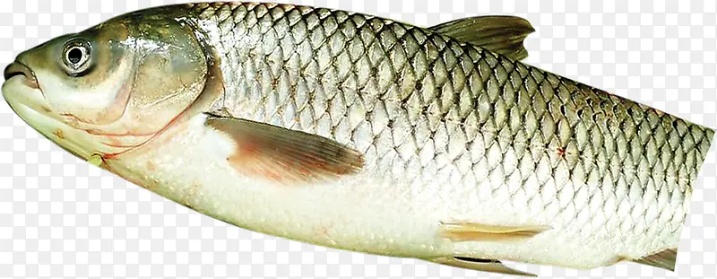 ������Ӱ����ӱ�-������