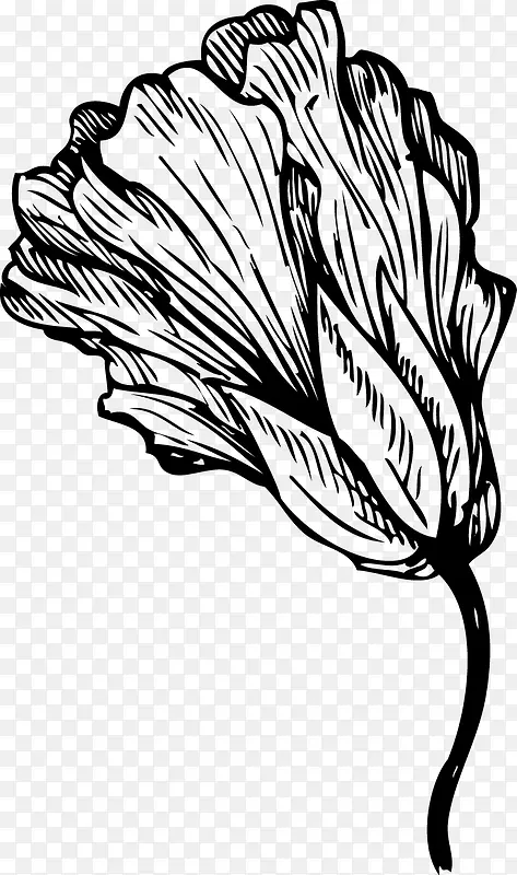 �ֻ��߲�-������