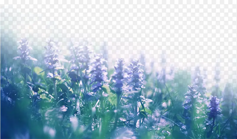 ��ɫ޹�²�-������