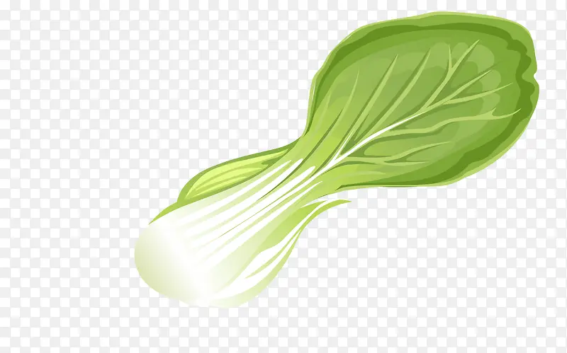 ʸ���Ͳ�Ҷ��-������