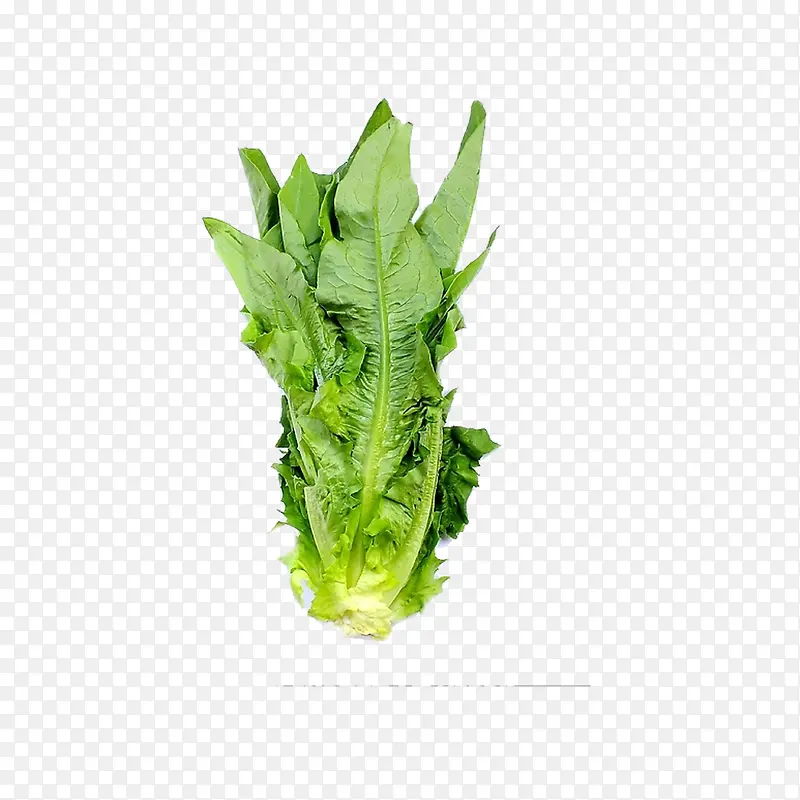 �߲�-������