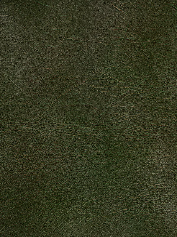 ��ɫƤ����������-������